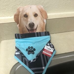 Dog blue bandanna sz XL